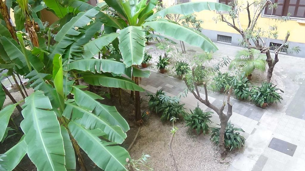 רומא Bed And Breakfast Adduci'S House מראה חיצוני תמונה