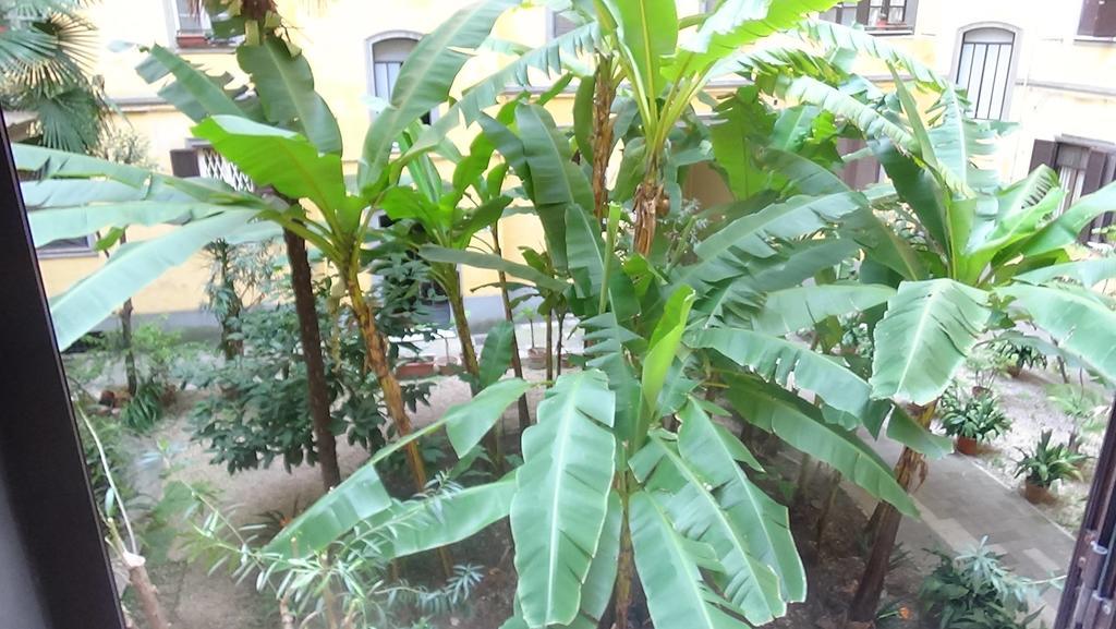 רומא Bed And Breakfast Adduci'S House מראה חיצוני תמונה